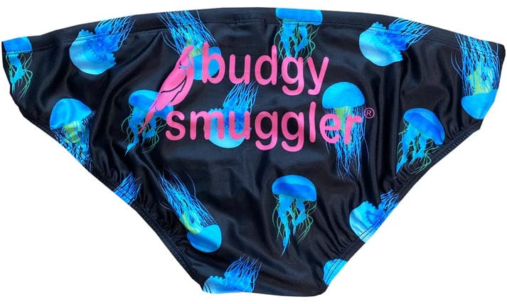 Box Jelly Fish - Image 3