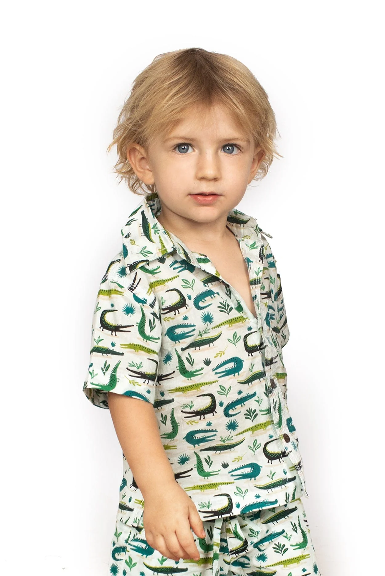 Boys Cotton Shorts - Crocodiles - Image 2