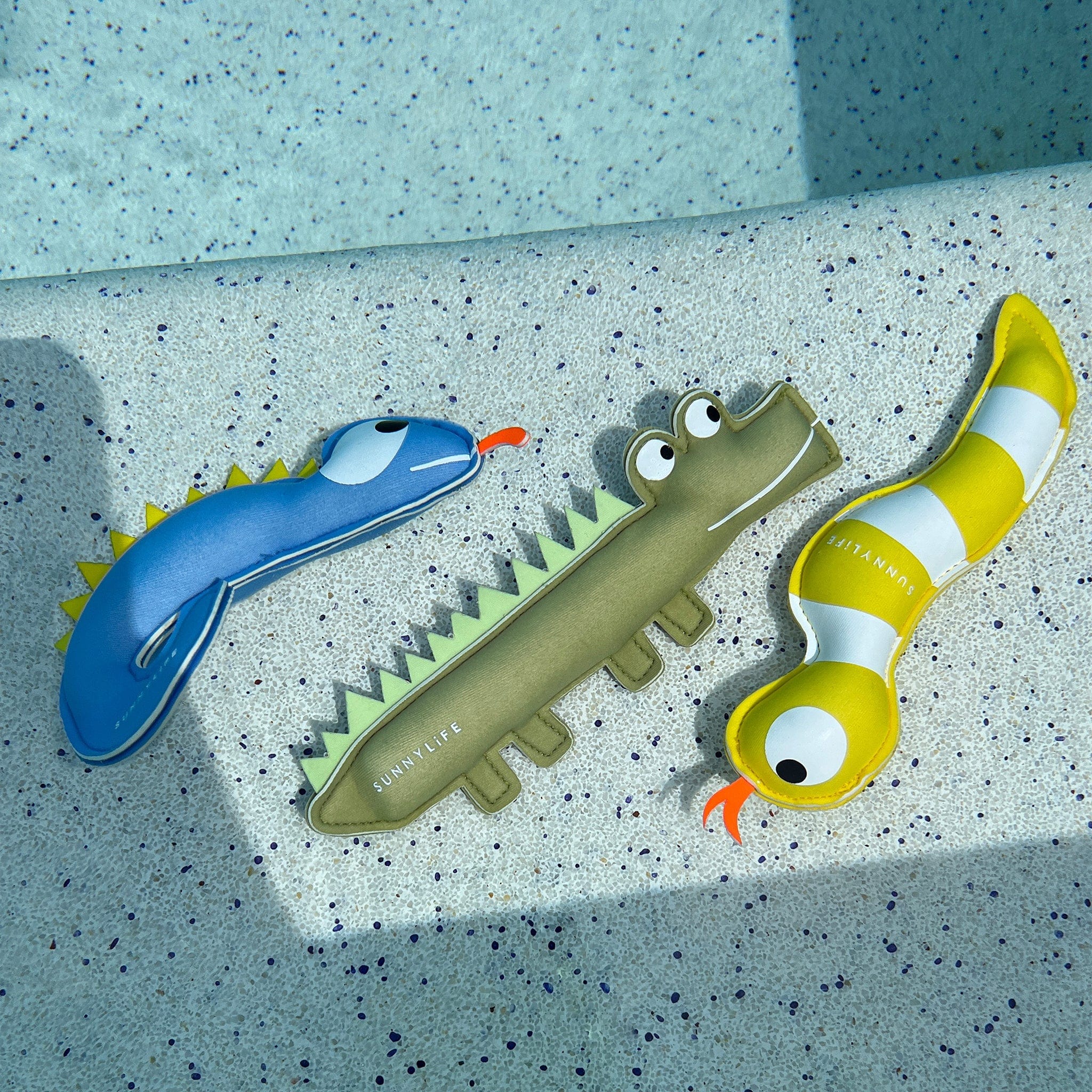 Dive Buddies Set Of 3 - Into The Wild Multi