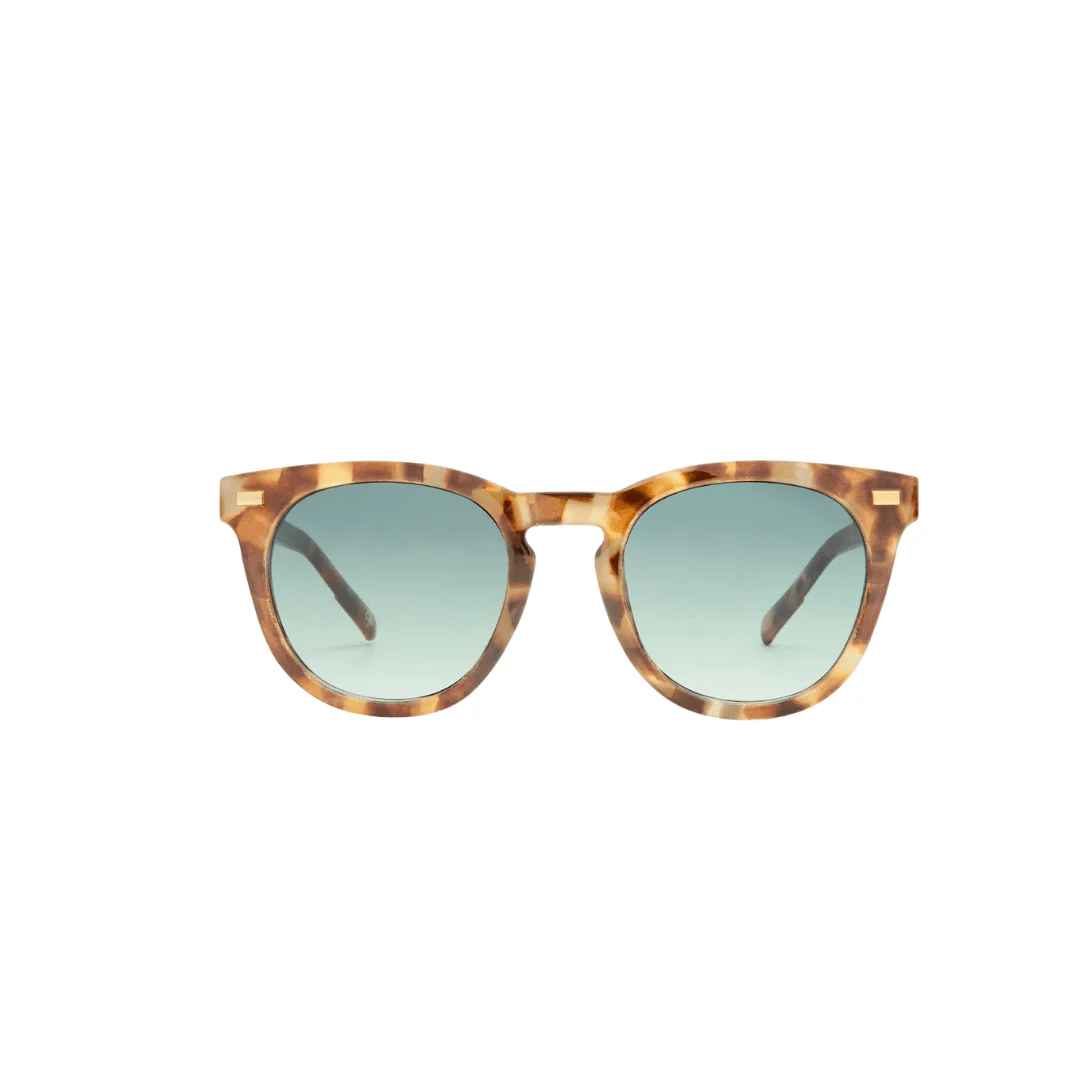 AIRE Evolution Sunnies