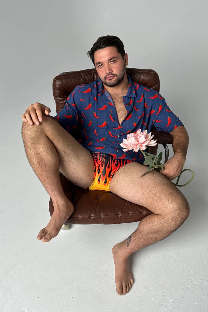 Fieri Flames*