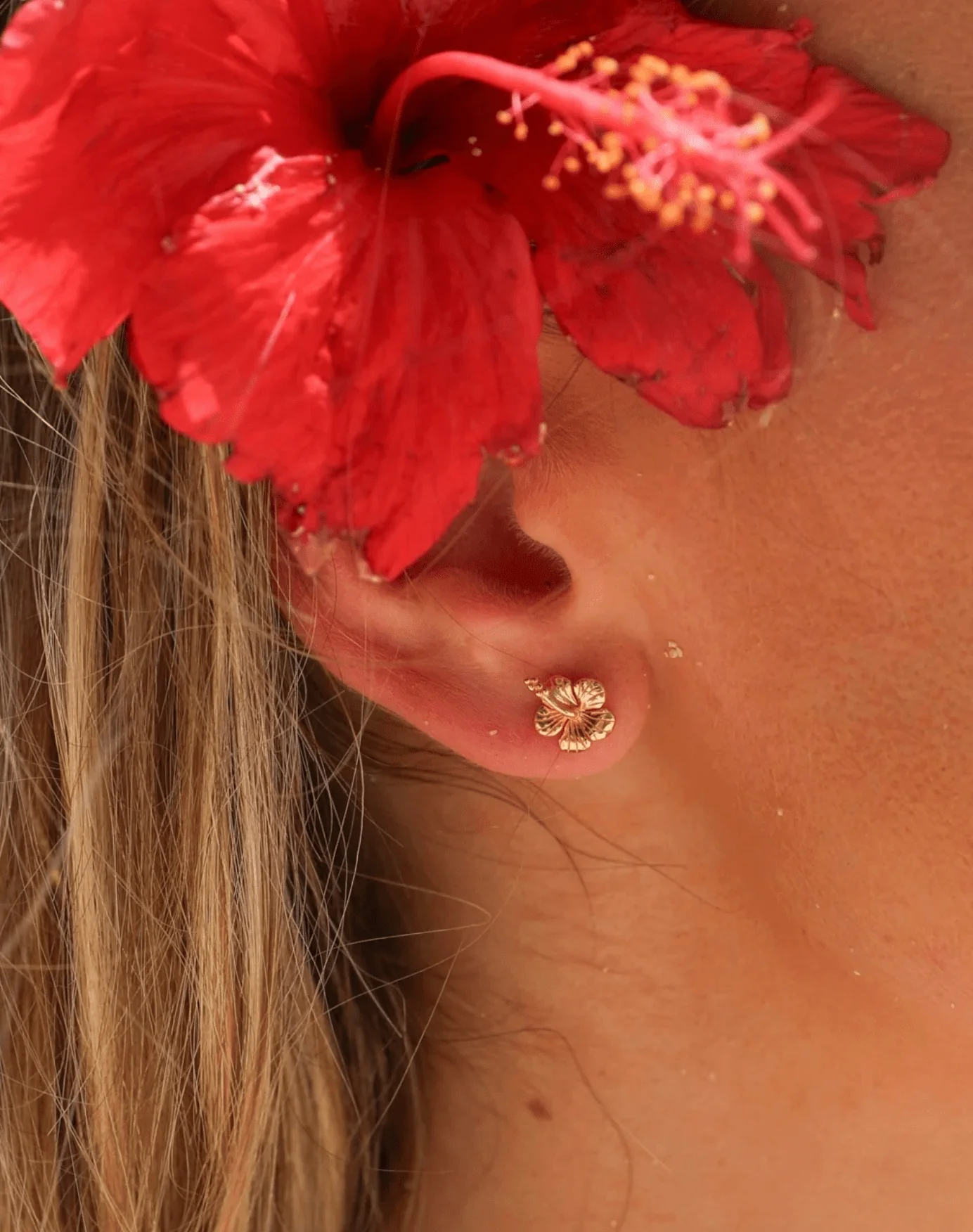 Hibiscus Studs
