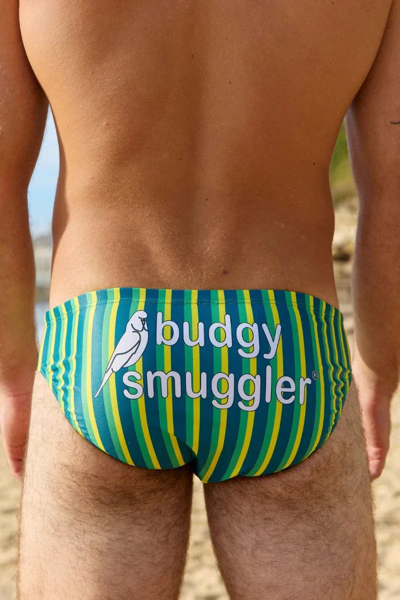 Budgy Smuggler Riviera Green Stripe
