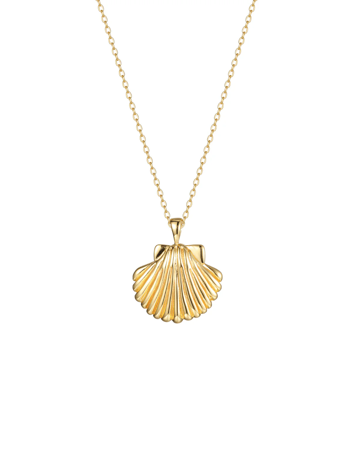 Sun Shell Necklace