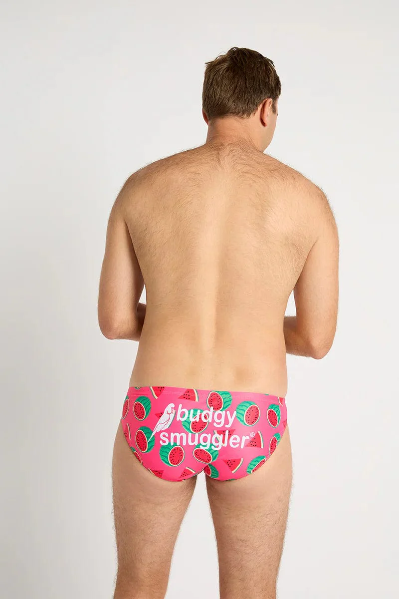Budgy Smugglers Watermelon Sugar Thighs* - Image 5